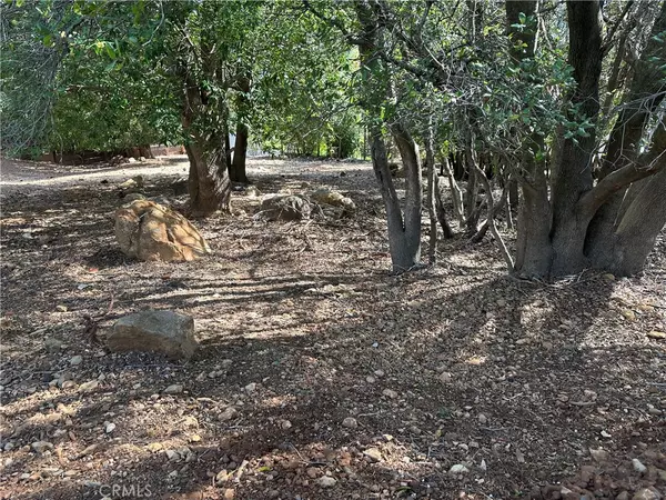 Kelseyville, CA 95451,8310 Mountain Crest DR