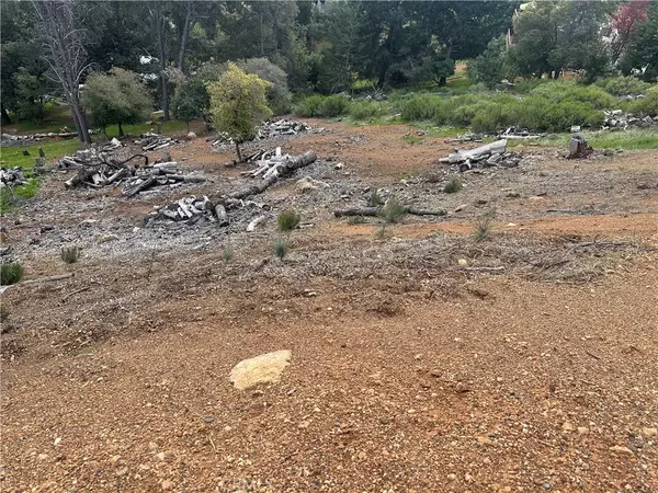 Kelseyville, CA 95451,3382 Pine Terrace DR