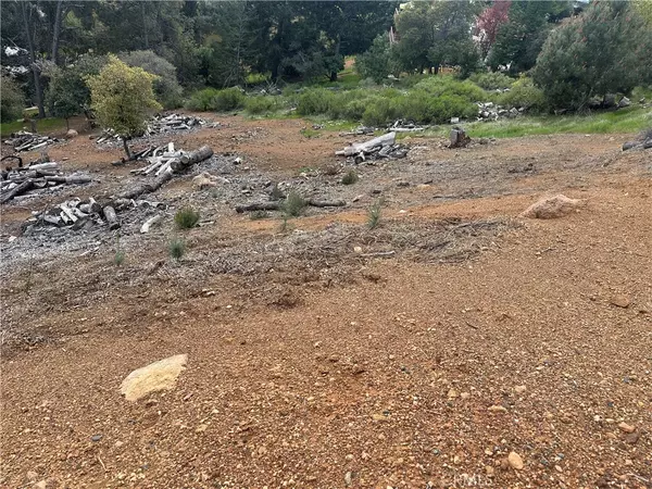 Kelseyville, CA 95451,3382 Pine Terrace DR