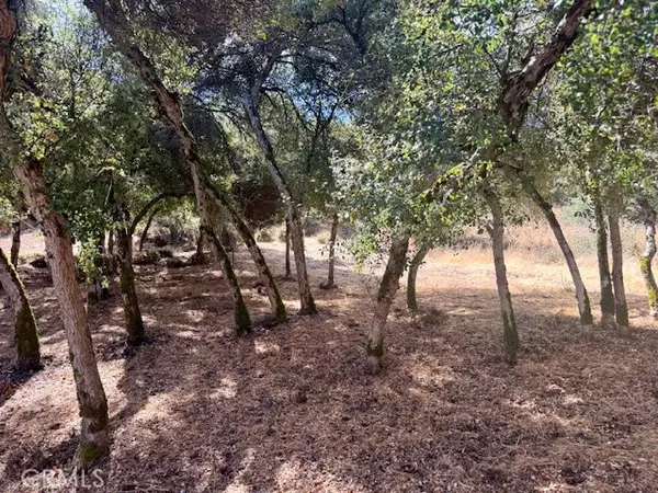 Kelseyville, CA 95451,10789 Harbor RD