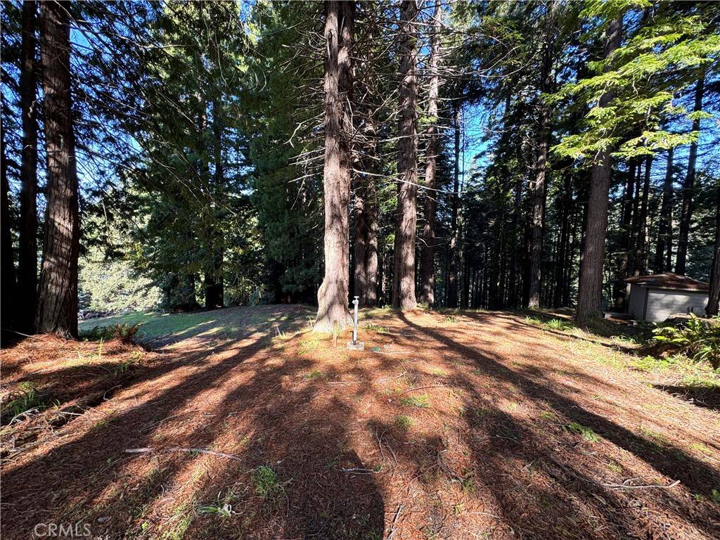 Westport, CA 95488,24250 Pacific Heights DR