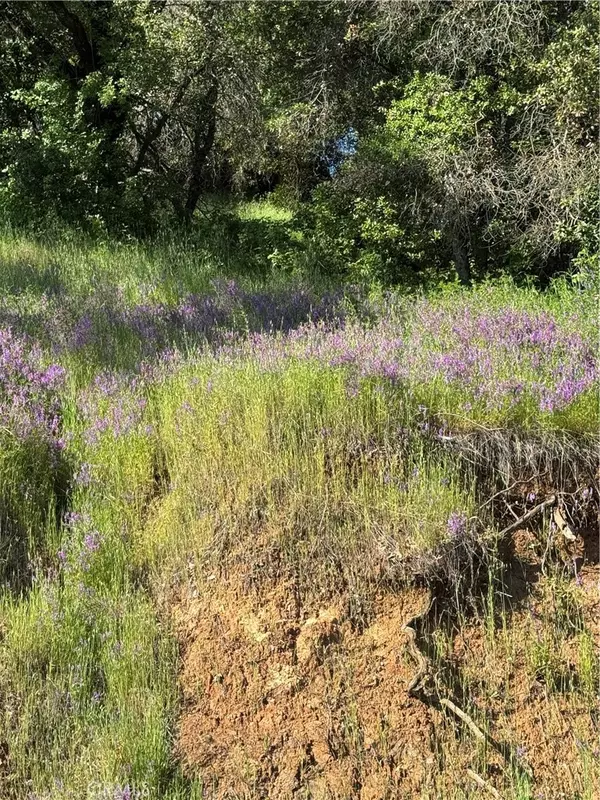 Nice, CA 95464,6705 Floyd WAY