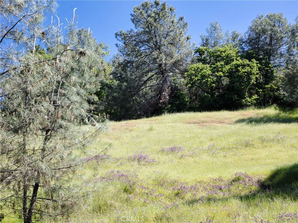 Lucerne, CA 95458,6983 Leslie RD