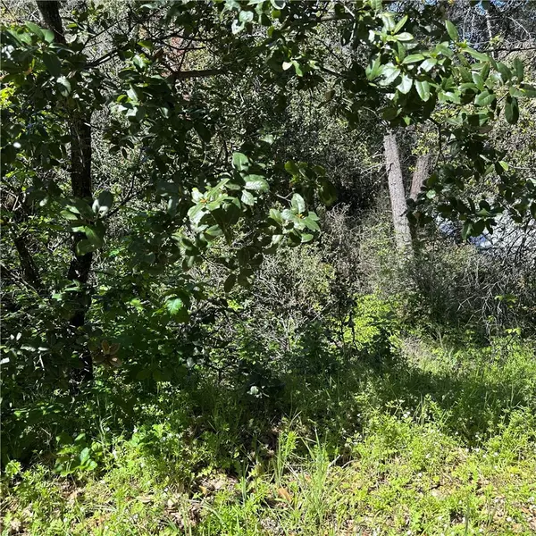 6972 Floyd WAY, Nice, CA 95464