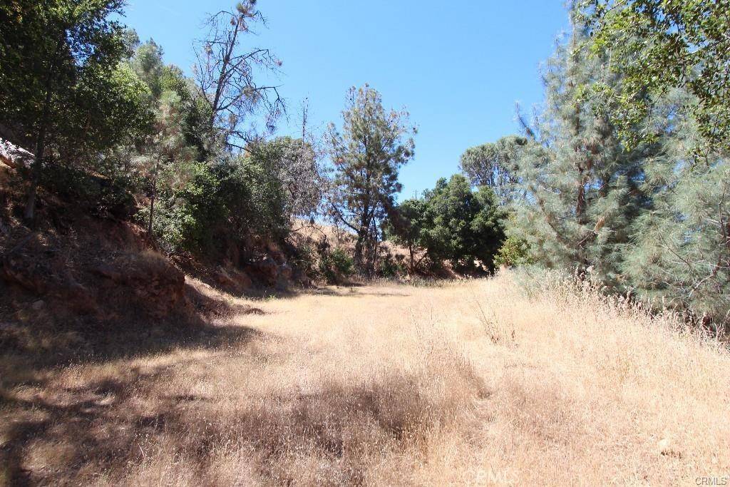 Lower Lake, CA 95457,5191 Lake RD