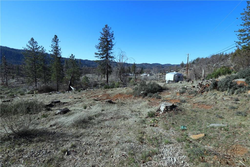 Cobb, CA 95426,14937 Hoberg DR