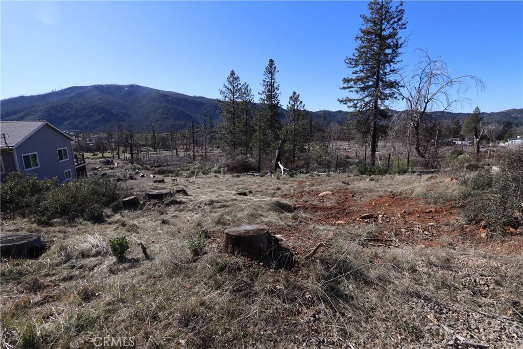 Cobb, CA 95426,14937 Hoberg DR