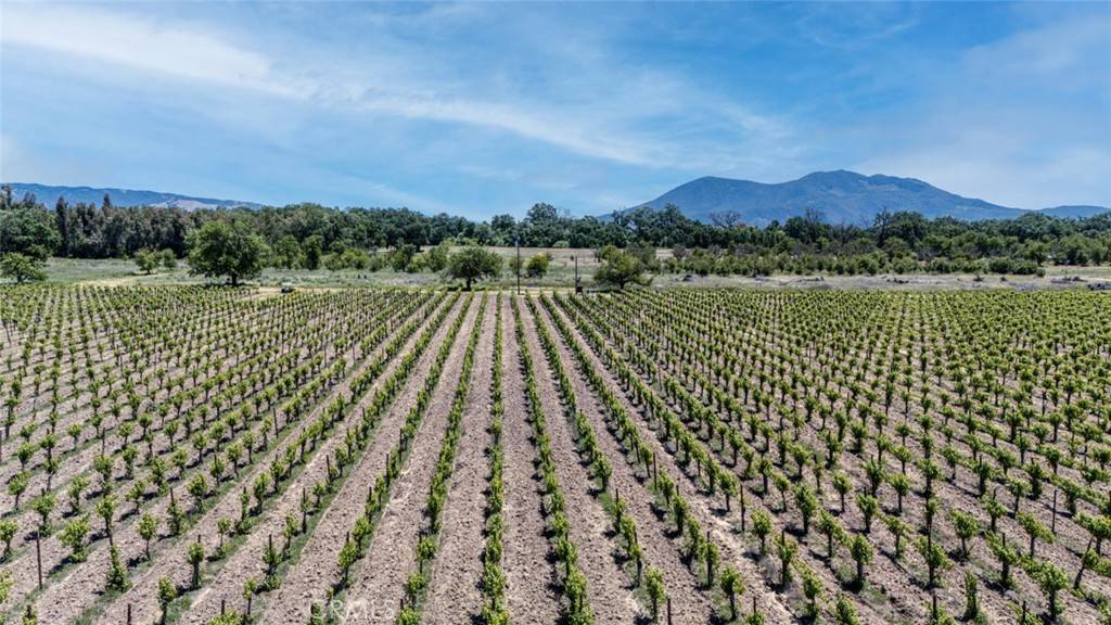 Lakeport, CA 95453,270 Soda Bay RD