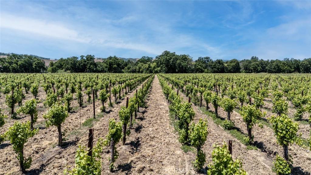 Lakeport, CA 95453,270 Soda Bay RD