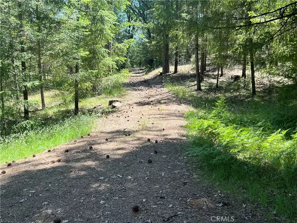 Cobb, CA 95426,15675 Bottle Rock RD