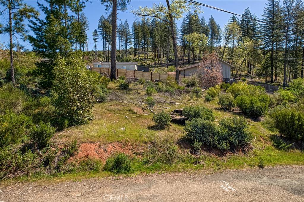 Cobb, CA 95426,14928 Quail DR