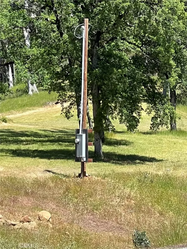 Upper Lake, CA 95485,12609 Elk Mountain RD