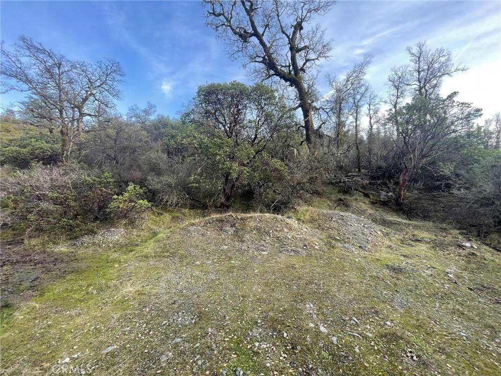 Upper Lake, CA 95469,3476 Upland WAY