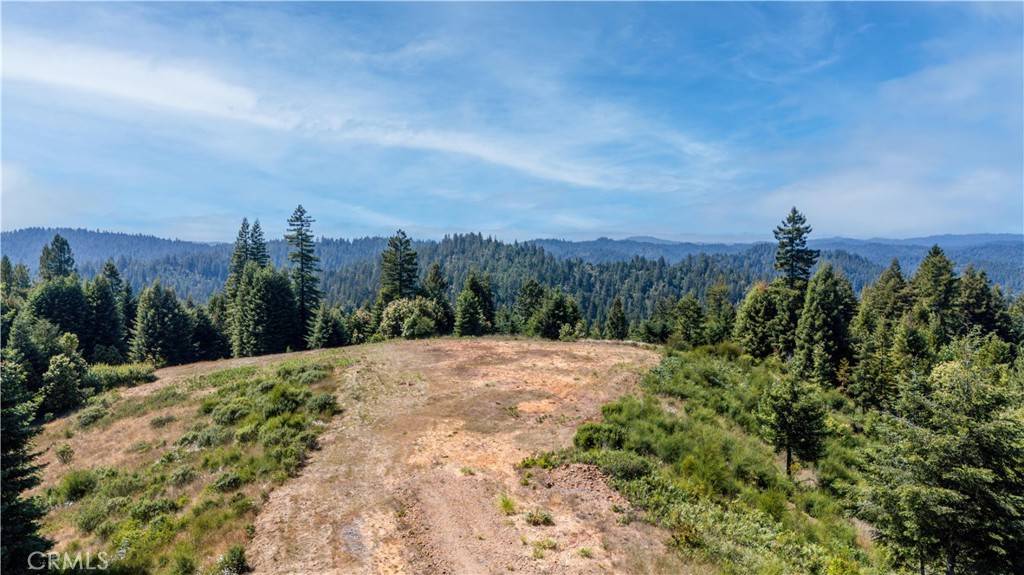 Comptche, CA 95427,5801 Flynn Creek RD