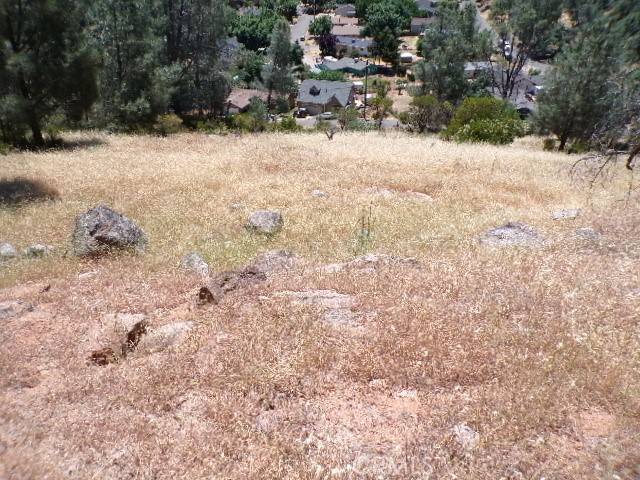 Kelseyville, CA 95451,4720 Iroquois TRL