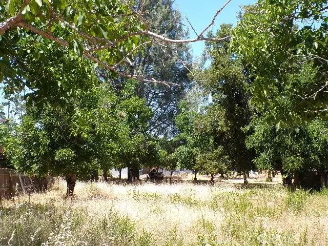 Kelseyville, CA 95451,3225 Marina View DR