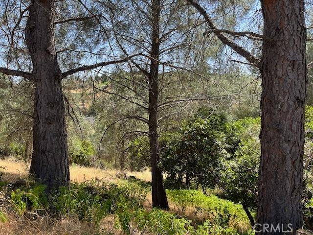 Kelseyville, CA 95451,10353 Walnut WAY