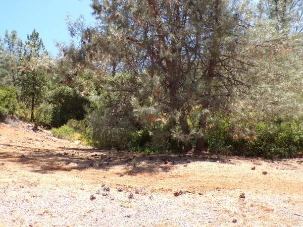 3440 Westridge DR, Kelseyville, CA 95451