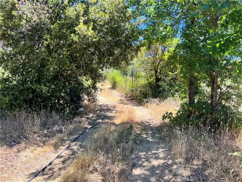 10725 Gifford Springs RD, Cobb, CA 95426