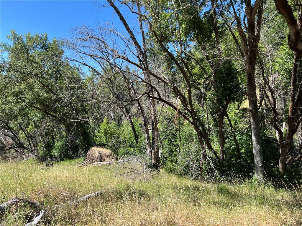 Upper Lake, CA 95469,20925 Mid Mountain (17N17 USFS) RD