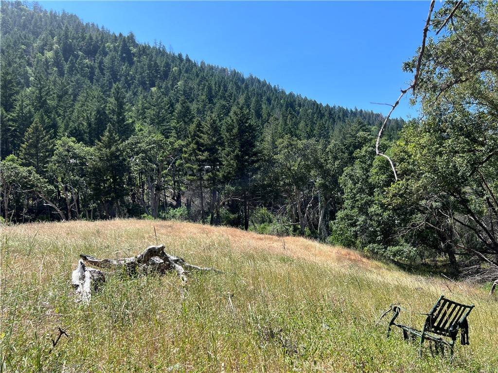 Upper Lake, CA 95469,20925 Mid Mountain (17N17 USFS) RD