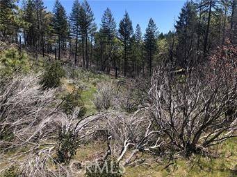 Lucerne, CA 95458,6847 High Valley RD