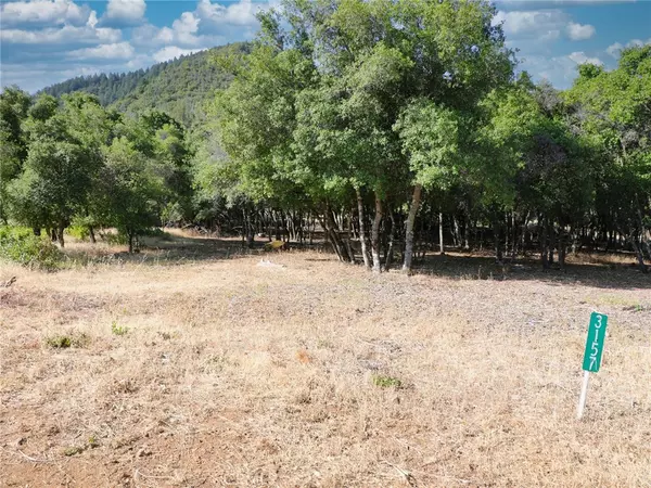 Kelseyville, CA 95451,3157 Riviera Heights DR