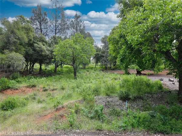 Kelseyville, CA 95451,3210 Skyline DR