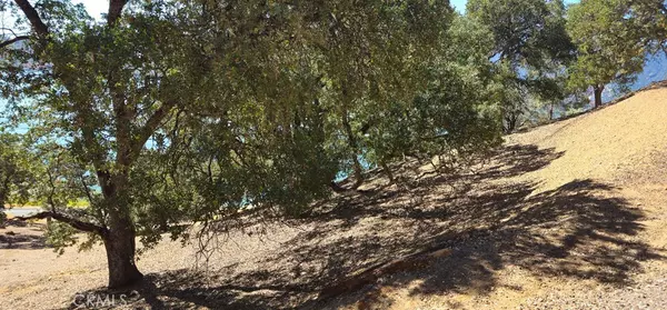 Clearlake Oaks, CA 95423,10981 Pingree RD