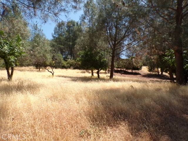Kelseyville, CA 95453,10318 Hok Has Ha LN