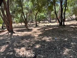 Kelseyville, CA 95451,7872 Soda Bay RD