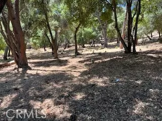 Kelseyville, CA 95451,7872 Soda Bay RD