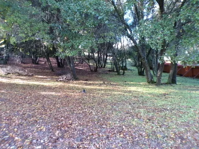 Kelseyville, CA 95451,10743 Boren Bega DR