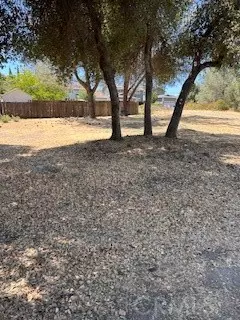 Clearlake, CA 95422,3685 Oleander ST