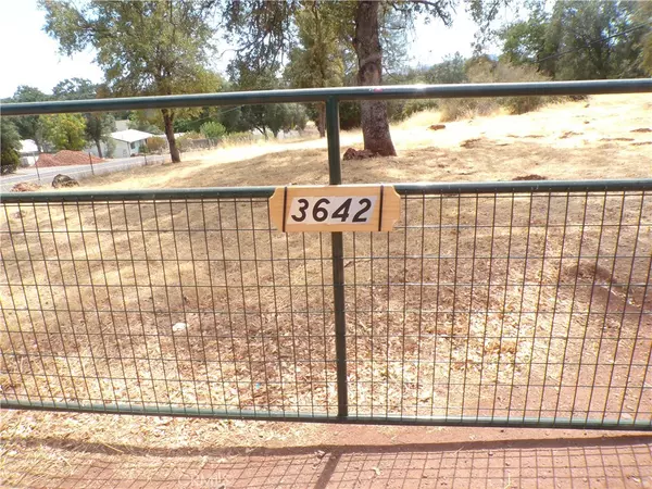 Clearlake, CA 95422,3642 Old Highway 53