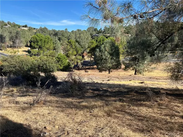 Kelseyville, CA 95451,9658 Fairway DR