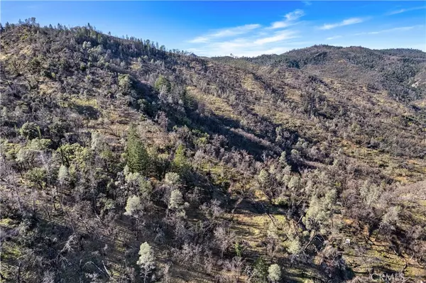 Pope Valley, CA 94567,1160 Aetna Springs RD