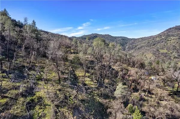 1160 Aetna Springs RD, Pope Valley, CA 94567
