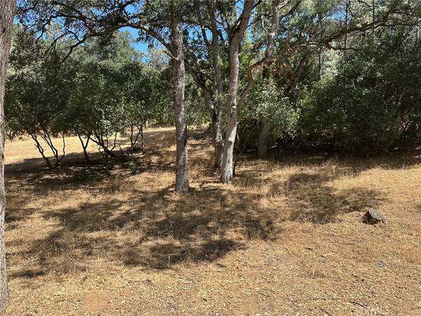 10810 Pingree RD, Clearlake Oaks, CA 95423