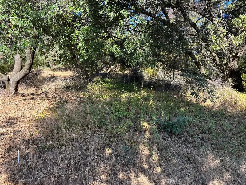 12588 Widgeon WAY, Clearlake Oaks, CA 95423