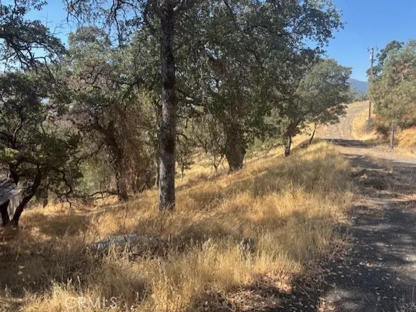 Clearlake, CA 95424,10877 Crestview DR