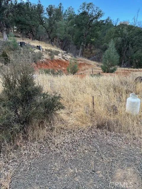 Clearlake Oaks, CA 95423,16332 Pueblo TRL