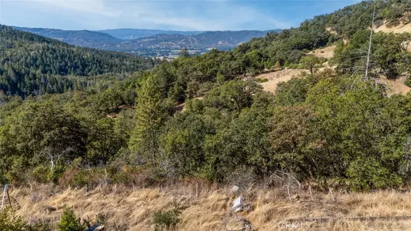 Potter Valley, CA 95469,13700 Pine AVE