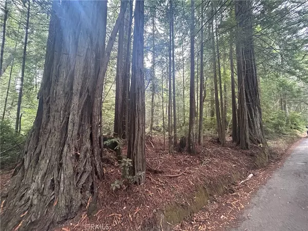 Mendocino, CA 95460,0 Law RD