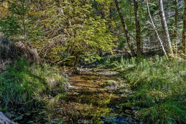 Laytonville, CA 95454,61051 Bell Springs