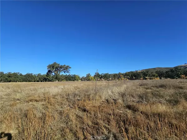 Lower Lake, CA 95457,17680 Morgan Valley RD