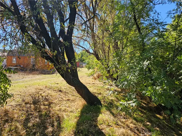 Lower Lake, CA 95457,16165 Florence