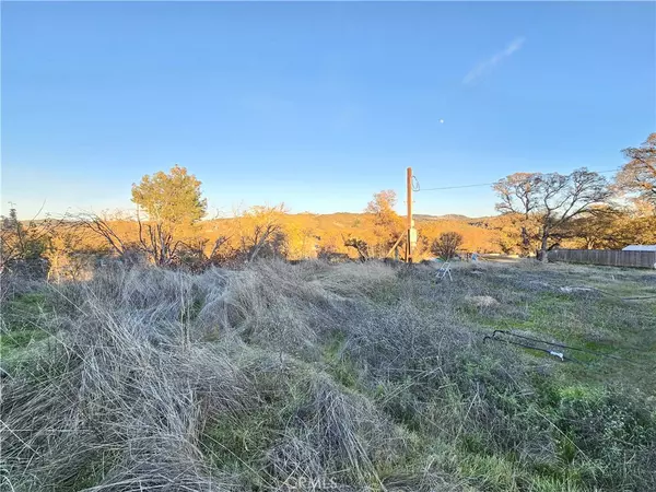 Lower Lake, CA 95457,17150 Deer Park