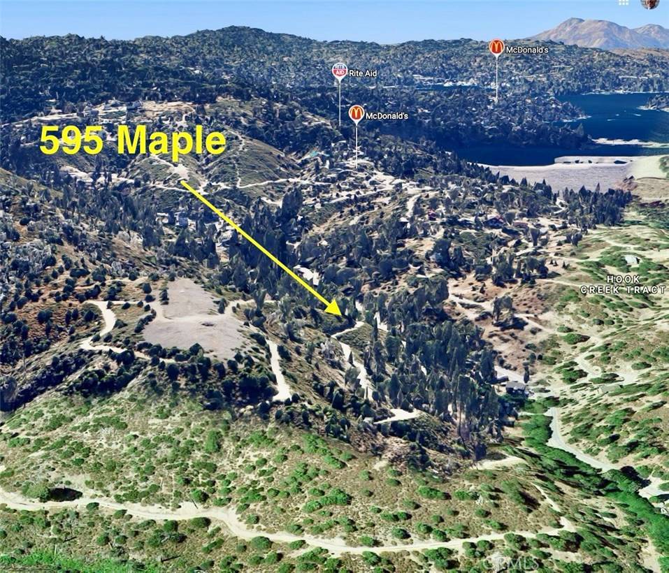 595 Maple DR, Lake Arrowhead, CA 92352