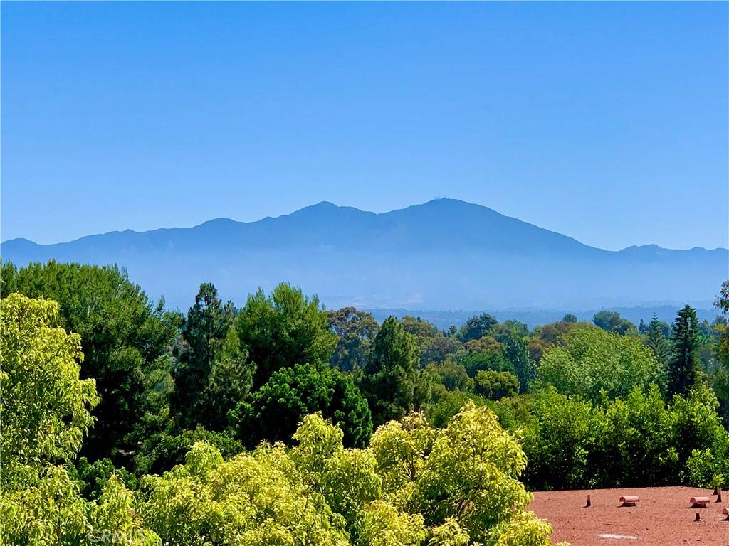 5363 Algarrobo #2P, Laguna Woods, CA 92637